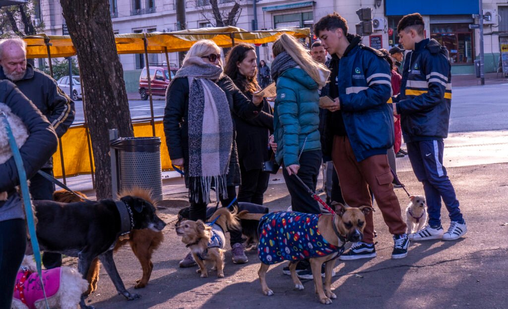 Gracias al programa Más servicios en tu barrio, impulsado por la Secretaría de Gobierno y Vínculo Ciudadano, los vecinos pueden realizar más de 300 gestiones cerca de sus hogares, desde renovar el DNI y tramitar la tarjeta Ciudadanía Porteña a vacunarse contra la gripe o recibir atención psicológica, odontológica y oftalmológica de forma gratuita.